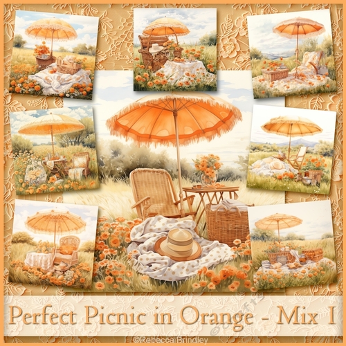 Perfect Picnic in Orange - Mix 1