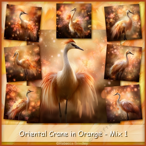 Oriental Crane in Orange - Mix 1