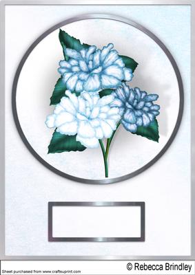 Frosty Florals A4