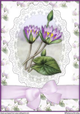 Purple Lotus Flower A4