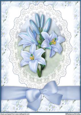 Blue Lilly A4