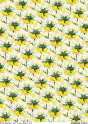 Yellow Crown Imperial Backing Paper One