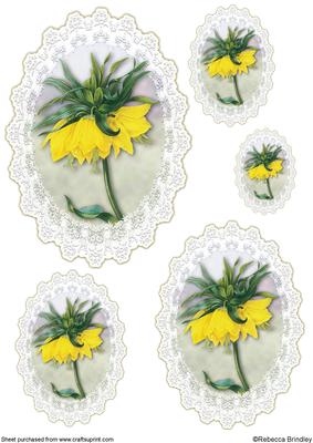 Yellow Crown Imperial Toppers