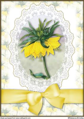 Yellow Crown Imperial A4