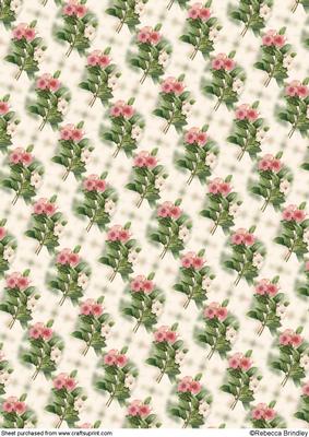 Pink and White Periwinkle Backing Paper One
