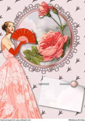 Lady Belle De Rose A4