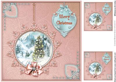 Winter Through the Looking Glass 8x8 Card Front - Salmon