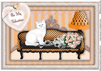 Princess Kitty A4 in Orange