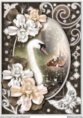 Midnight Swan in Peach A4
