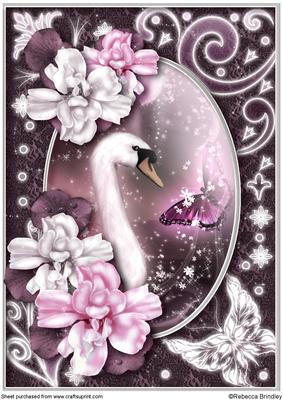 Midnight Swan in Pink A4