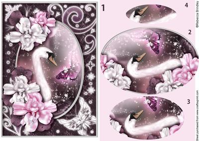 Midnight Swan in Pink Pyramid