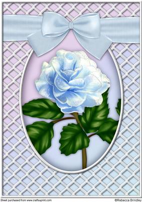 A Delicate Blue Rose A4