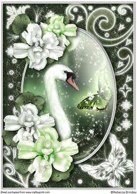 Midnight Swan in Green A4