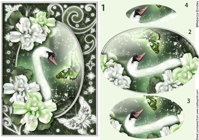 Midnight Swan in Green Pyramid