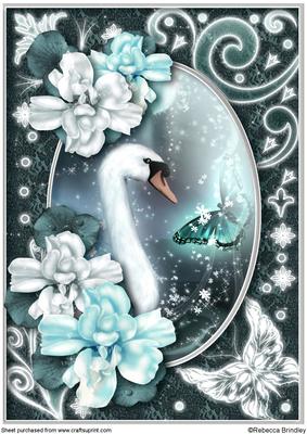 Midnight Swan in Turquoise A4