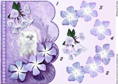 Dreamy Kitten 5 Scalloped Edge Card Decoupage