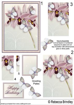 Butterflies and Orchids Pyramid