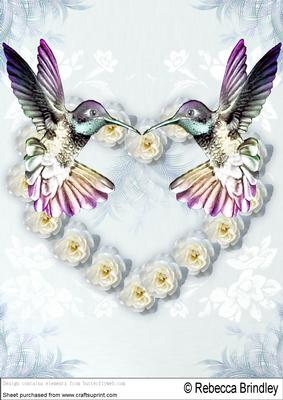 Love Birds A4