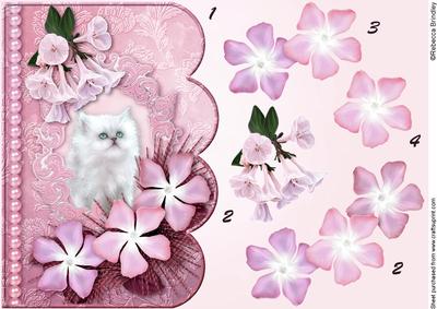 Dreamy Kitten 6 Scalloped Edge Card Decoupage