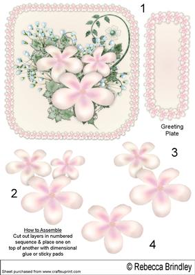 Floral Visage in Blush - Decoupage