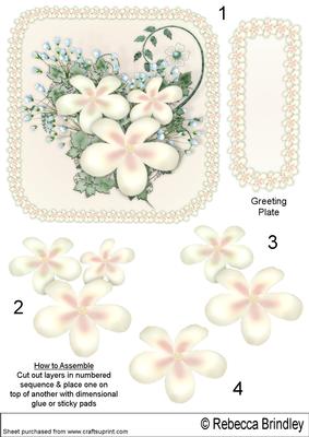 Floral Visage in Cream - Decoupage