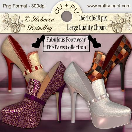 Fabulous Footwear - the Paris Collection