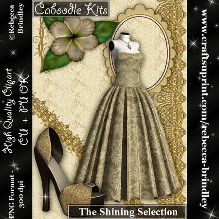 Caboodle Kits - the Shining Selection