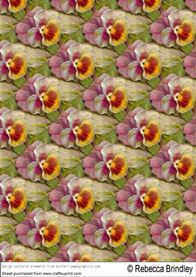 Pansy Parade Backing Paper 1