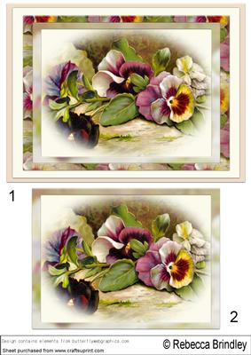 Pansy Parade A5 Card Front