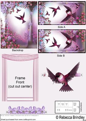 Flight of the Hummingbird Theatre Card