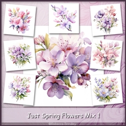Just Spring Flowers Mix 1