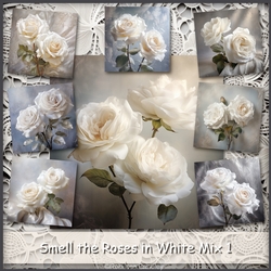 Smell the Roses in White Mix 1