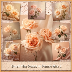 Smell the Roses in Peach Mix 1