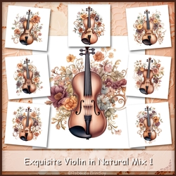 Exquisite Violin in Natural Mix 1