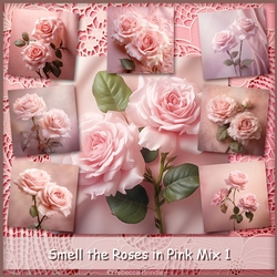 Smell the Roses in Pink Mix 1