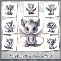 Cute Baby Silver Dragon Mix 1