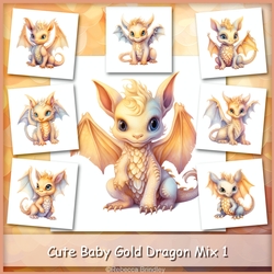 Cute Baby Gold Dragon Mix 1