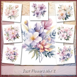 Just Flowers Mix 2