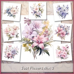 Just Flowers Mix 3