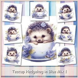 Teacup Hedgehog in Blue Mix 1