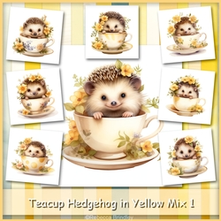 Teacup Hedgehog in Yellow Mix 1