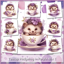 Teacup Hedgehog in Purple Mix 1