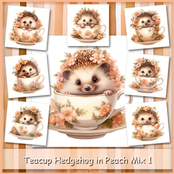 Teacup Hedgehog in Peach Mix 1