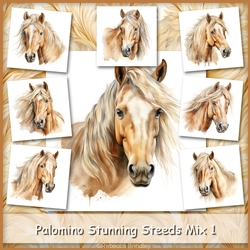 Palomino Stunning Steeds Mix 1