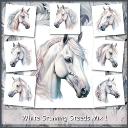 White Stunning Steeds Mix 1