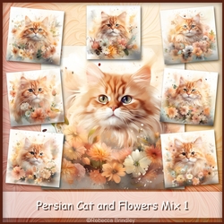 Persian Cat and Flowers Mix 1