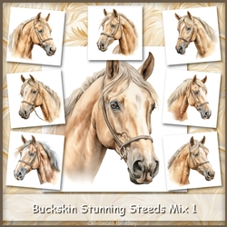 Buckskin Stunning Steeds Mix 1