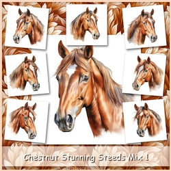Chestnut Stunning Steeds Mix 1