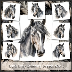 Dark Grey Stunning Steeds Mix 1