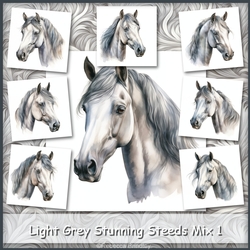 Light Grey Stunning Steeds Mix 1